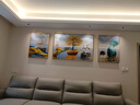 诗六艺家饰客厅装饰画北欧现代简约沙发背景墙挂画三联画大气轻奢壁画晶瓷画 富贵有余（铝合金外框） 晶瓷画左右60*80+中间120*80亮面 实拍图
