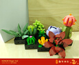 乐高（LEGO）积木拼装10309 肉质植物男孩女孩玩具生日礼物 实拍图