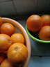 俏背篓 秭归中华红血橙薄皮多汁味甜现摘新鲜水果当季橙子爆汁 9斤中大果 实拍图