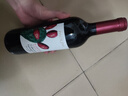 KAKTOS仙人掌【锋芒系列】赤霞珠干红进口酒 750ml*6 价保双11 热门商品 实拍图