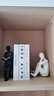 贝汉美（BHM） 轻奢简约现代书挡人物摆件玄关客厅酒柜电视柜办公室桌面装饰品 黑白一对+3本随机仿真书 实拍图