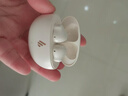 漫步者（EDIFIER）Z1 Air+蓝牙耳机小金翼半入耳式真无线轻量化长续航耳机 通话降噪男女生送礼物运动兼容多种系统 Z1 Air 月白+柯基狗保护套 该款式为蓝牙V5.3 实拍图