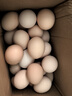 散养土鸡蛋 谷物蛋初生鲜鸡蛋 农家山林谷物喂养笨鸡蛋柴鸡蛋 【吃出蛋奶香】20枚 S级谷物蛋(40g±5g)/枚 实拍图