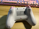 aolion澳加狮洛可可Agan阿感游戏手柄Switch2手柄Pro无线蓝牙NS2暴吵萌厨PC电脑版Steam安卓IOS手机手柄 云露莓 实拍图