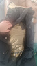 CLARKE QUEEN95%白鹅绒羽绒服女长款过膝2024新款宽松加厚外套潮 黑色 M (160) （130-145斤卡码拍小） 实拍图