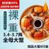 【活蟹】湖鲜阳澄 大闸蟹 去绳足重 3.0-3.3两 8只 鲜活六月黄现货超大螃蟹生鲜礼盒装 实拍图