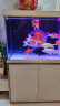 森森（SUNSUN）大型鱼缸底过滤水族箱客厅家用落地玻璃生态金鱼缸 【实时温显】1米长42cm宽（黑白灰可选） 实拍图