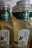 农夫山泉 东方树叶茉莉花茶335ml*15瓶 0糖0脂0卡无糖饮料 茶饮料 整箱装 实拍图