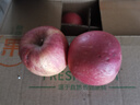 冉沃优选甘肃大漠正宗冰糖心红富士苹果高原脆甜苹果新鲜当季水果整箱 75-80mm果径（净重4.5斤中果） 实拍图