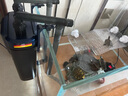 AMTRA TECHNIK德国安彩壁挂过滤器ex650鱼缸过滤器乌龟低水位净水静音 EX650 龟缸版【内含滤材】升级滤材套餐 实拍图