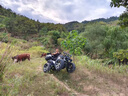 赛普迪沙滩车四轮越野摩托车全地形燃油山地成人四驱/后驱摩托车双人ATV 新款平衡轴发动机200cc推荐 实拍图