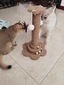 珍佑宠猫抓板猫爬架一体耐磨不掉屑剑麻抓柱耐抓逗猫棒自嗨解闷猫咪玩具 实拍图