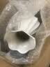 吕姆克花瓶陶瓷假花鲜花客厅摆件花盆白色瓷器桌面装饰摆设陶瓷花瓶8686 实拍图