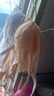 都市丽人内衣女乳罩性感蕾丝文胸软钢圈薄款透气小胸聚拢胸罩2B25AB 实拍图