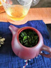 茗聚惠安溪铁观音 新茶特级兰花香1725春茶乌龙茶散装500g茶叶 实拍图