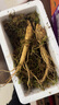 新鲜人参  长白山现挖 东北带土鲜参 人叁煲汤泡水泡酒料 鲜人参250g（10-15根） 实拍图