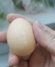 1号会员店体验卡送【无抗鲜鸡蛋40枚 45g+/枚 1.8kg】下载1号会员店领鸡蛋 实拍图