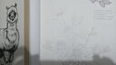 2册《花卉动物速写描摹本》零基础画画入门新手自学教程书籍线描花卉临摹手绘初学者学绘画教材铅笔画素描速写京东618活动 实拍图