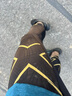 2XU Light Speed系列健身裤男 MCS梯度压缩裤专业训练高弹速干紧身裤 黑/金反光 L 实拍图