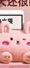 为伴热水袋充电暖手宝暖宝宝安全防爆可爱卡通风可插手热敷腰腹暖小兔 实拍图