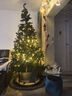 新新精艺 圣诞树2.4米圣诞节装饰加密豪华家用商场门口饰品平安树彩灯布置 实拍图