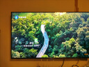 夏普4K高清43/50/55/60/65/70/75/85/100英寸智能网络全面屏语音电视 50英寸 平面智能语音电视 实拍图