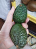 山姆大叔 金奖·哈斯牛油果云南孟连【闪送】当季鳄梨非即食新鲜水果礼盒 尝鲜果丨约80-100g 4枚【尝鲜-不划算】普装 实拍图