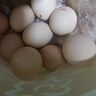 可生食鸡蛋含DHA无抗Omega-3 新鲜鸡蛋 早餐买菜无菌蛋京东包邮 270g DHA鸡蛋6枚 实拍图