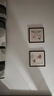 紫腾随轩齐白石装饰画新中式客厅背景墙面挂画卧室饭厅餐厅水墨虾壁画 荷花A款 40*40cm红木色实木框 实拍图