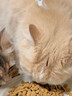弗列加特猫主粮烘焙猫粮鲜肉粮Fregate 85%高鲜肉烘焙粮 全价鲜肉烘焙猫粮 【磷虾油美毛】鸡肉配方1.8kg 实拍图