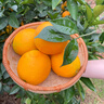 京地达江西赣南脐橙 9斤单果185g+大果甜橙子新鲜水果源头直发包邮 实拍图