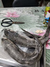 御泸鲜湘【顺丰发货】海捕大鲻鱼 鲜活速冻梭鱼乌头鱼海捕特大梭子鱼批发 海捕大梭鱼(每条2-3斤) 五斤(2-3条)净重发货 顺丰快递 实拍图