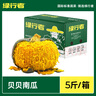 绿行者（GREER）山东贝贝南瓜 板栗味正宗小南瓜甜香软糯健康营养粗粮代餐生鲜 贝贝南瓜 5斤 实拍图