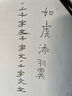 Touch Fish 秀丽笔软笔书法练字专用签名签字笔硬笔字钢笔式毛笔初学者字帖笔小学生软头 小楷1支 实拍图