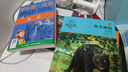 罗尔德·达尔作品典藏·女巫  7-10岁 小学一年级二年级课外阅读 儿童文学 儿童礼物男孩女孩 京东618 暑假阅读书单 实拍图