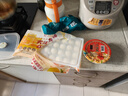 五芳斋【速冻】爆料饭团速食早餐糯米速冻加热即食懒人食品方便点心 泡菜五花肉饭团*3+小馄饨 实拍图