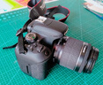 佳能/Canon 500D 600D  700D 750D 760D 800D 二手单反相机 95新 99新 佳能800D/18-55 IS STM套机 套机 实拍图