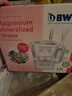 倍世（BWT）净水壶滤水壶净水器家用 欧洲去水垢滤芯 益家4.2L大容量 过滤水壶 厨房客厅通用 【去水垢-加强版】1壶12芯 实拍图