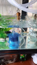 森森（SUNSUN）水妖精鱼缸迷你小型生化棉过滤器反气举气动式过滤设备 4W单孔气泵+蓝色中号水妖精1个（过滤培菌） 实拍图