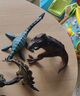 玛奇乐（MECHILE）仿真恐龙玩具动物模型静态摆件霸王龙迅猛龙剑龙三角龙翼龙棘龙 重爪龙 实拍图