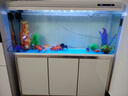 西龙中大鱼缸客厅家用落地懒人生态免换水带柜子一体自循环金鱼水族箱 135CM鱼缸+PVC地柜 实拍图