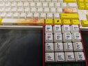 阿米洛（Varmilo） 试轴器 个性键帽 小挂饰 小礼品 24键试轴器（深红壳） 实拍图