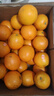 褚橙正品褚橙旗舰直发云南玉溪褚时健冰糖橙10斤水果礼盒装励志冰糖橙 L号优级10斤（防伪码可查） 实拍图
