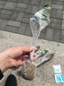 百芳缘三角梅树苗花卉四季开花重瓣绿化攀缘植物盆景精品盆栽地栽叶子花 大红 5年苗可以当年开花 实拍图