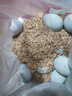 我老家 正宗皮蛋松花蛋鸭蛋 无铅工艺变蛋 12枚 550g -600g 松花蛋 实拍图