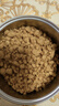 贝因美（Beingmate）肉松零食高蛋白原味肉酥猪肉松宝宝胡萝卜猪肉酥儿童拌粥拌饭120g 【2罐】菁爱原味*1+胡萝卜*1 实拍图