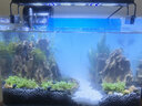 西游水族鱼缸水族箱客厅小型迷你桌面免换水生态造景小金鱼缸热弯超白玻璃 长30*宽18*高20-云影群峰款造景全套 实拍图