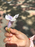 GENIOLAMODE红色卫衣男女款秋冬季加绒加厚休闲宽松蛇年本命年上衣 红色 3XL 实拍图