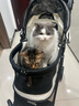 belloS2 轻便可折叠宠物推车狗狗猫咪泰迪婴手小推车儿外出宠物车狗 S2E珍珠白【高颜透气款】 实拍图