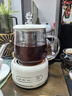 多功能花茶壶迷你养生壶家用办公室小型养生杯煮茶热牛奶电炖杯 智能款电炖杯+304茶漏 0.6L 实拍图